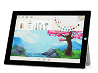 洛浦Surface 无法开启、Windows 无法启动或电池无法充电